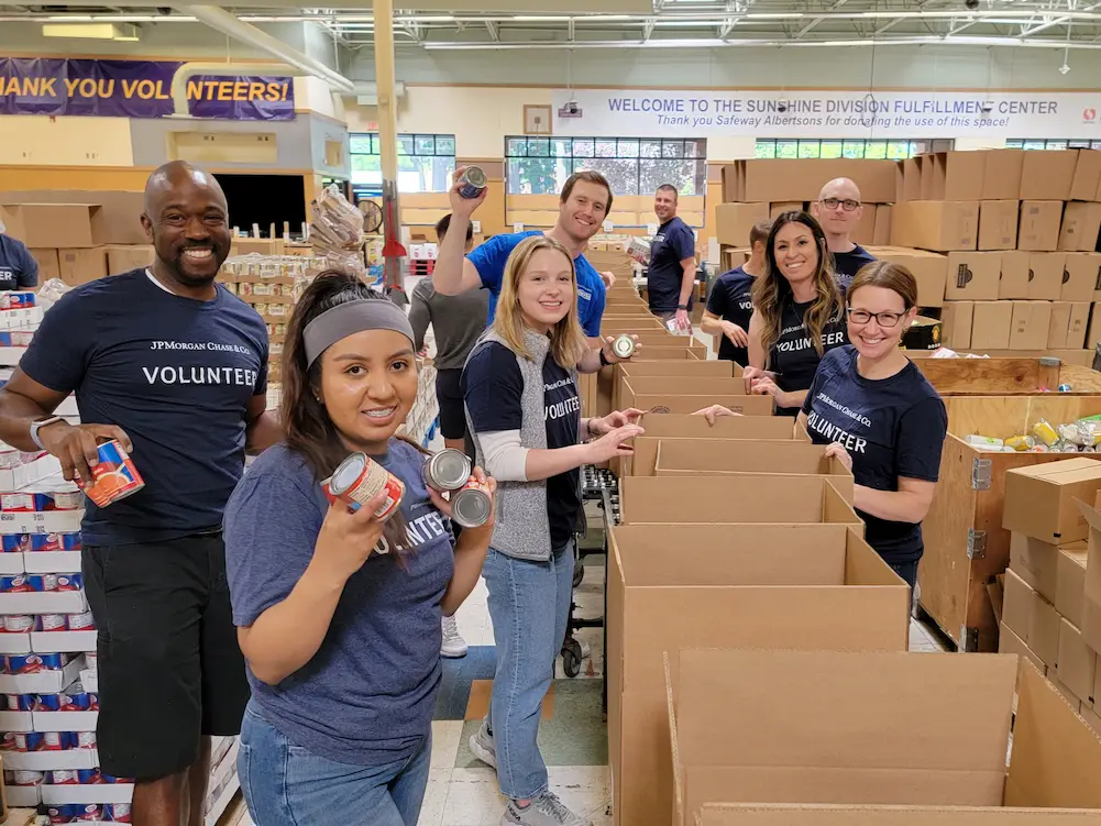 Wilsonville Volunteers for Web