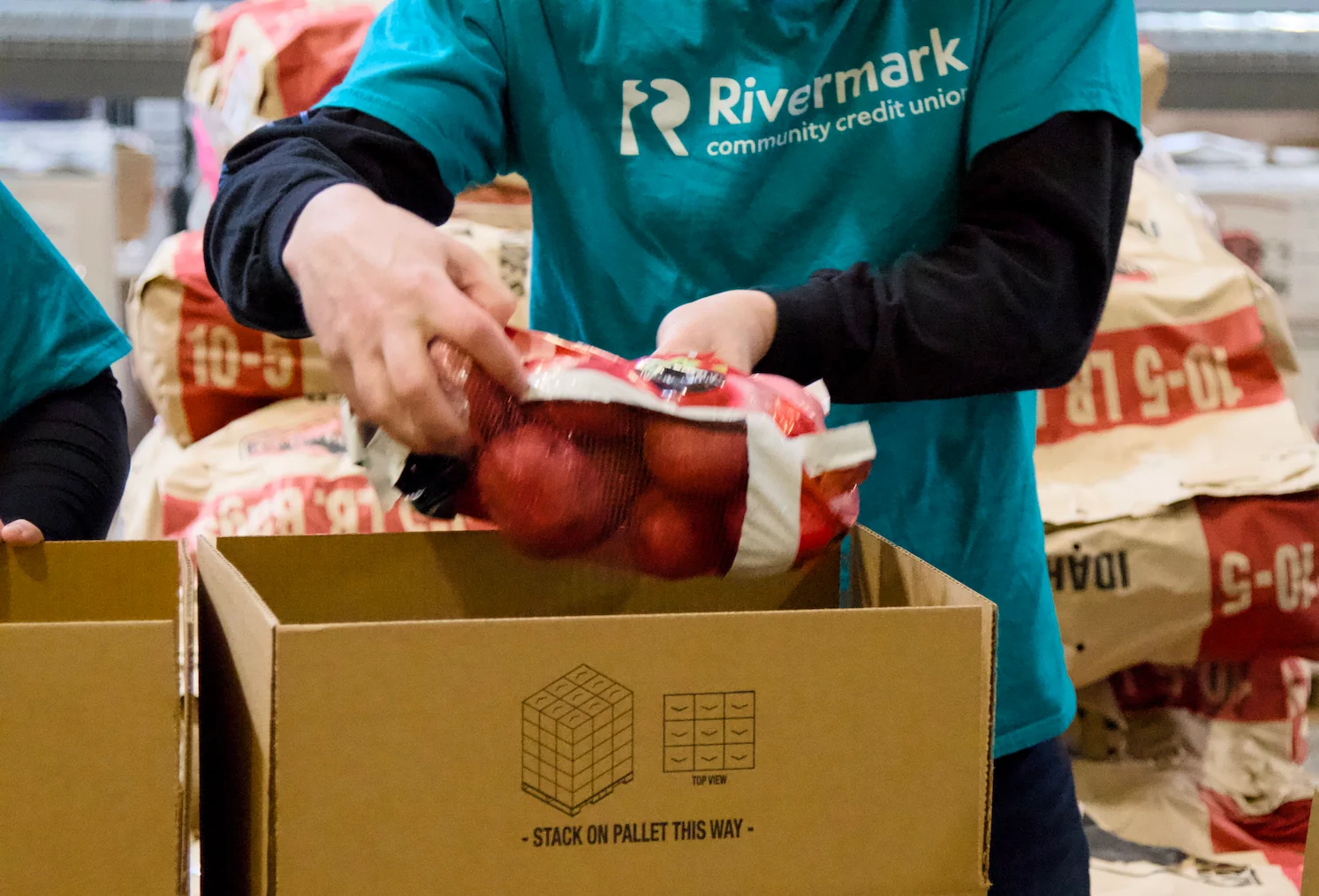 IMGL6163sun
